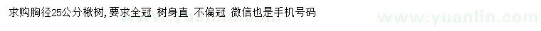 求購胸徑25公分楸樹