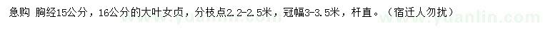 求購(gòu)胸徑15、16公分大葉女貞
