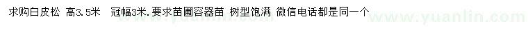 求購高3.5米白皮松