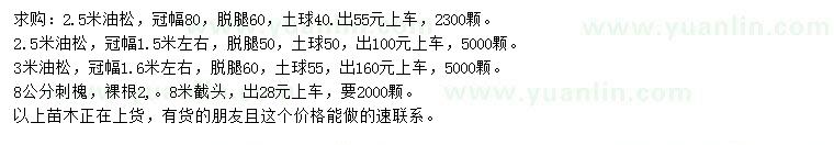 求購2.5、3米油松、8公分刺槐