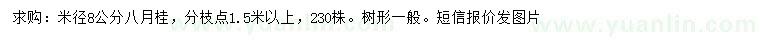 求購米徑8公分八月桂