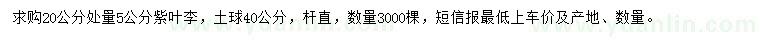 求購20公分量5公分紫葉李