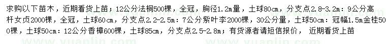 求購法桐、高桿女貞、紫葉李等