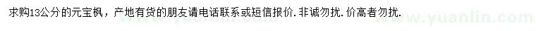 求購13公分元寶楓