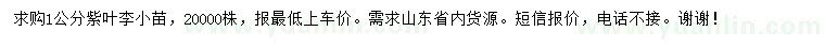 求購(gòu)1公分紫葉李