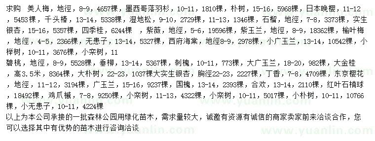 求購美人梅、墨西哥落羽杉、樸樹等