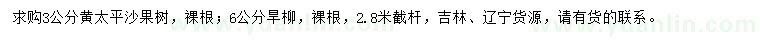 求購3公分沙果樹、6公分旱柳