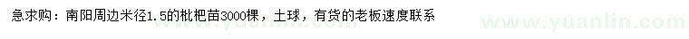 求購米徑1.5公分枇杷苗