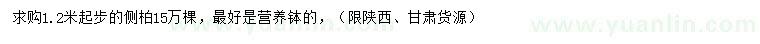 求購(gòu)1.2米以上側(cè)柏