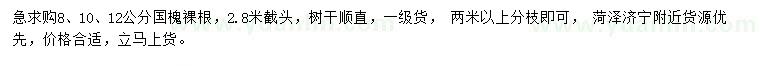求購8、10、12公分國槐