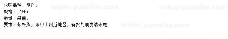 求購(gòu)12公分陰香