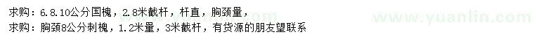 求購胸徑6、8、10公分國槐、8公分刺槐