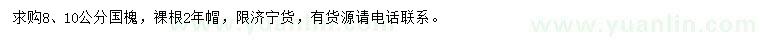 求購8、10公分國槐