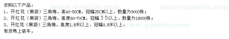 求購冠幅25、35、80公分以上三角梅