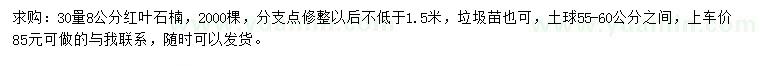 求購30量8公分紅葉石楠