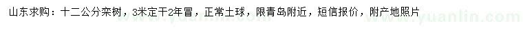 求購12公分欒樹