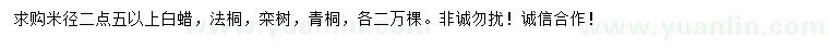 求購白蠟、法桐、欒樹等