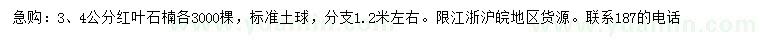 求購3、4公分紅葉石楠