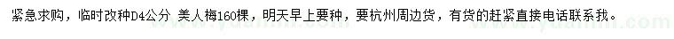 求購地徑4公分美人梅