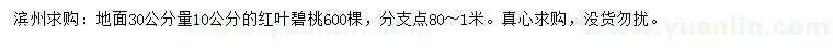 求購30公分量10公分紅葉碧桃