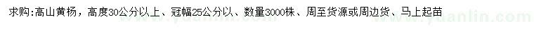 求購高30公分以上高山黃楊