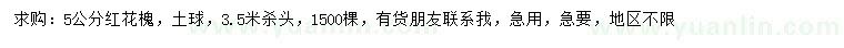 求購5公分紅花槐
