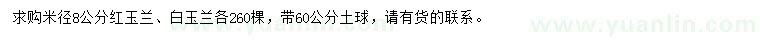 求購米徑8公分紅玉蘭、白玉蘭