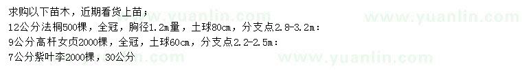 求購(gòu)法桐、女貞、紫葉李等