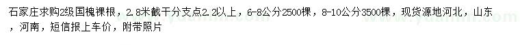 求購6-10公分國槐