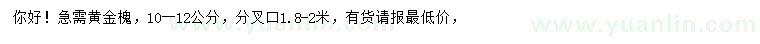 求購(gòu)10-12公分黃金槐