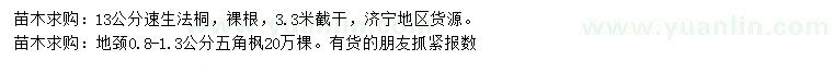 求購13公分速生法桐、地徑0.8-1.3公分五角楓