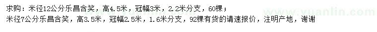 求購米徑7、12公分樂昌含笑