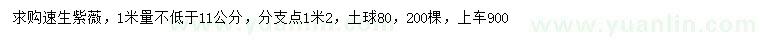 求購1米量11公分速生紫薇