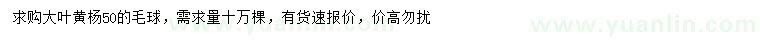 求購50公分大葉黃楊