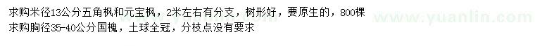 求購五角楓、元寶楓、國槐