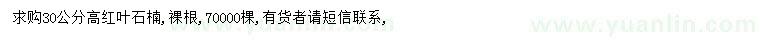 求購高30公分紅葉石楠