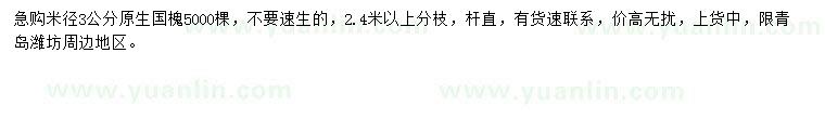 求購米徑3公分國槐