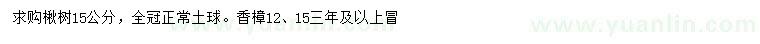 求購15公分楸樹(shù)、12、15公分香樟