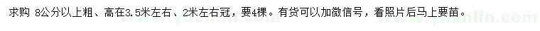 求購8公分以上東北紅豆杉