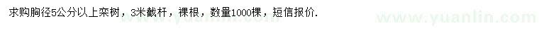 求購胸徑5公分以上欒樹(shù)
