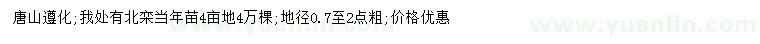 求購地徑0.7-2公分北欒