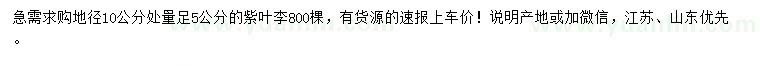 求購地徑10公分處量足5公分紫葉李