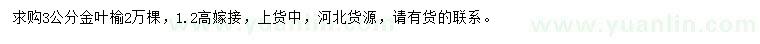 求購3公分金葉榆