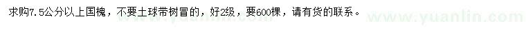 求購7.5公分以上國槐
