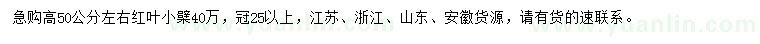求購高50公分左右紅葉小檗