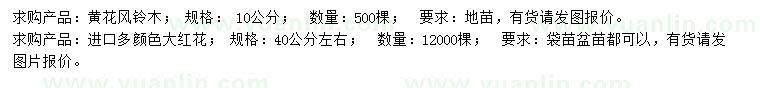 求購10公分黃花風(fēng)鈴木、40公分大紅花