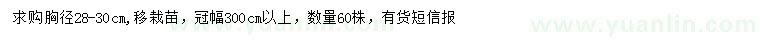 求購胸徑28-30公分香樟