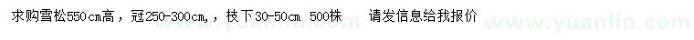 求購高550公分雪松