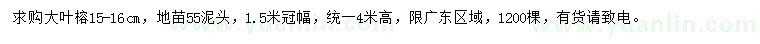 求購15-16公分大葉榕
