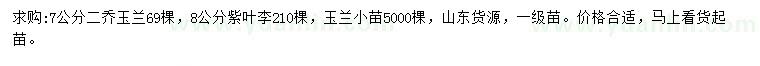 求購二喬玉蘭、紫葉李、玉蘭